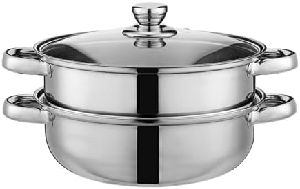AIZYR Double-Layer Steam Pot with Lid for Cooking Stew Pasta Perfect