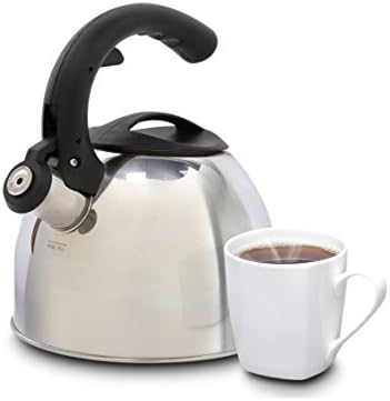 Mr Coffee Gibson Steamline Tea Kettle 2 Quarts Stainless Steel Hand Wash