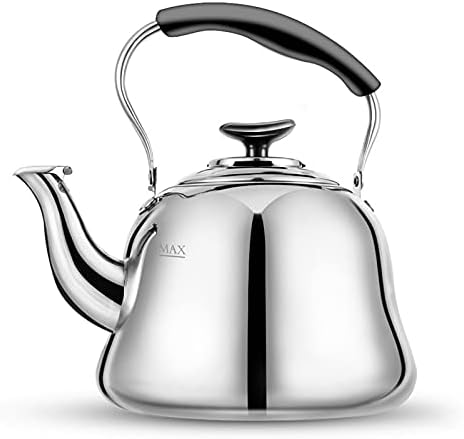 Stainless Steel Tea Kettle