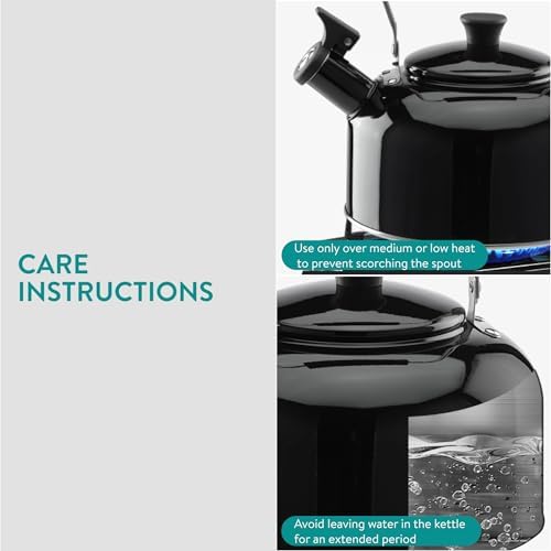 Sturdy Classic Kettle for Tea Lovers