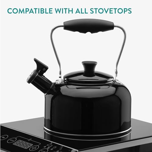 Sturdy Classic Kettle for Tea Lovers