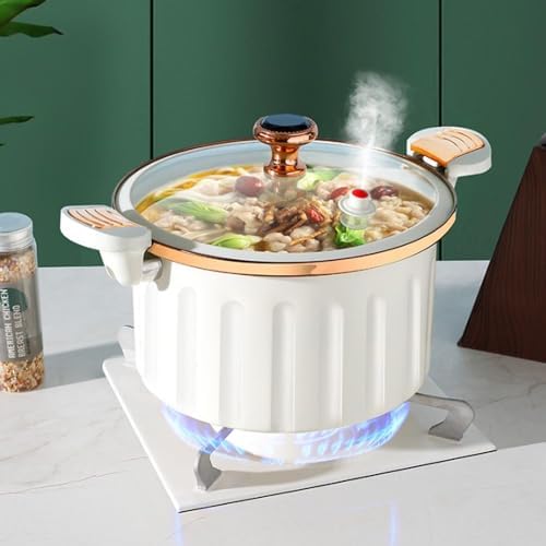 Durable Dual-Handle Stock Pot
