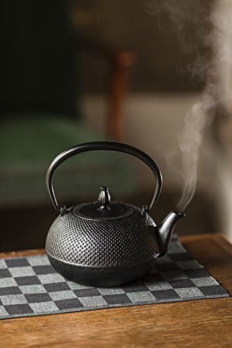 Rare Ikenaga Cast Iron Pot