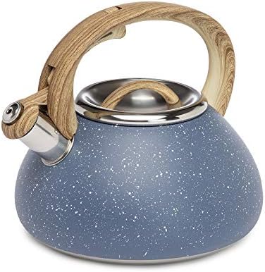Goodful 25QT Stainless Steel Whistling Kettle with Trigger Spout