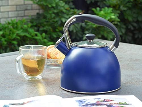 Sturdy 26-QT Stainless Steel Tea Kettle
