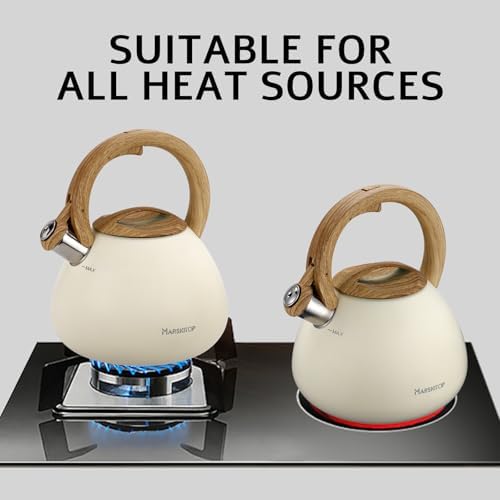 Stainless Steel 26 Quart Tea Kettle with Whistle