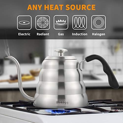 Precision Coffee Kettle with Thermometer for 40 fl oz