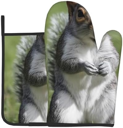 Indoor Red Squirrel Oven Mitts Pot Holders Set