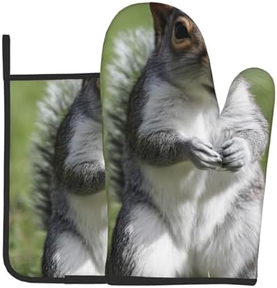 Indoor Red Squirrel Oven Mitts Pot Holders Set