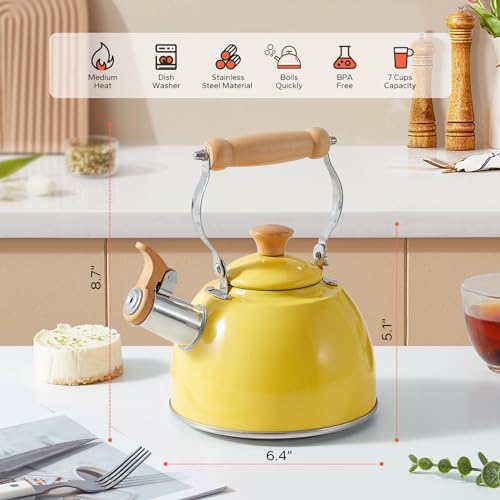 Perfect Ergonomic Design - Rockurwok Tea Kettle