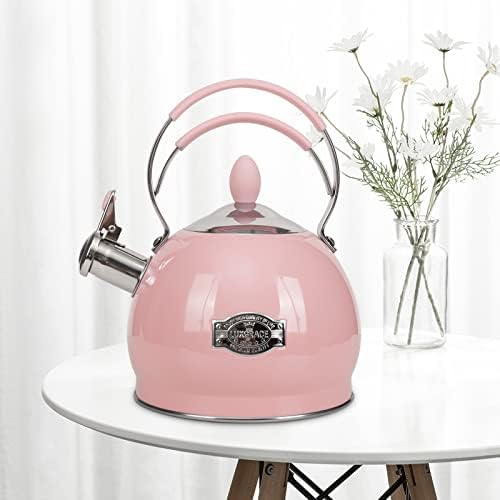 Whistling Stainless Steel Tea Pot 26 Quart Boil FastInduction Compatible