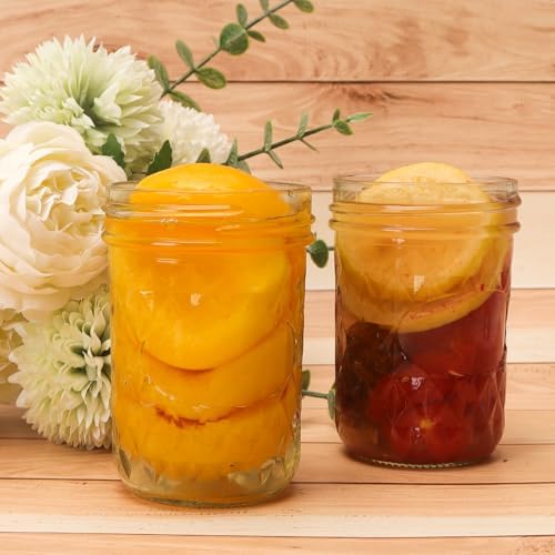 CycleMore Mason Jars 8 oz 24 Pack Canning Set