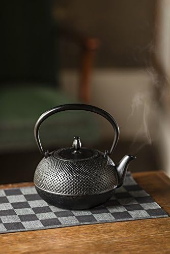 Rare Ikenaga Cast Iron Pot