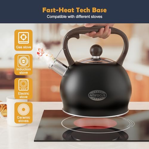 AMFOCUS264 Quart Ergonomic Stainless Steel Tea Kettle with Whistle Black