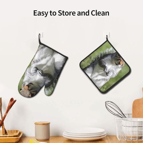Indoor Red Squirrel Oven Mitts Pot Holders Set