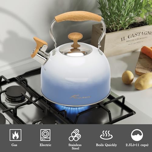 Fstone-Proof 22L Whistling Kettle with EHX