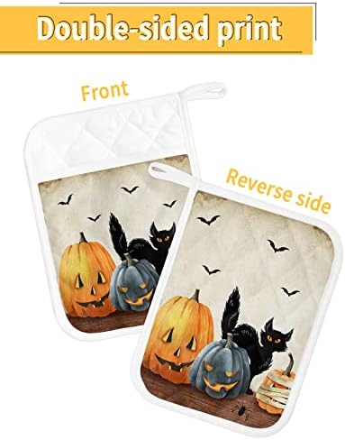 Halloween Black Cat Transformation Pot Holder Set