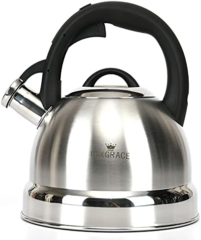 Ergonomic Whistling 25 qt Stainless Steel Tea Kettle