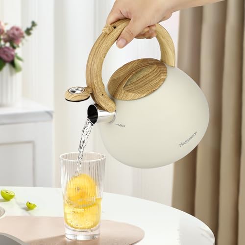 Stainless Steel 26 Quart Tea Kettle with Whistle