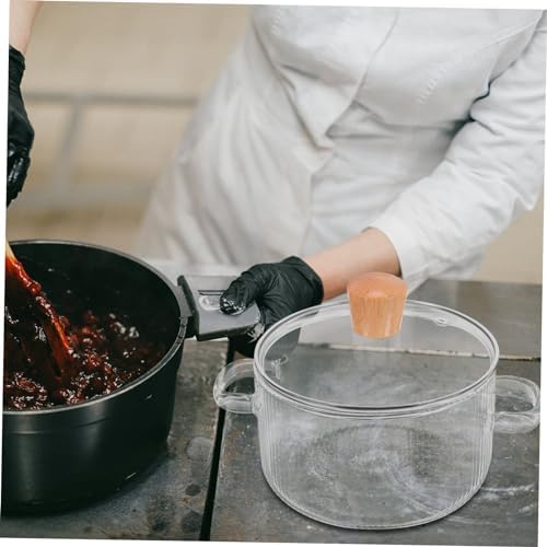 Prettyzoo Glass Saucepan with Cover