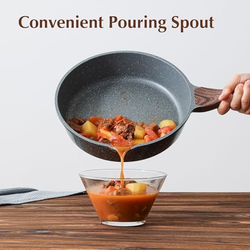 SENSARTE Nonstick Saut Pan with Lid 10-Inch