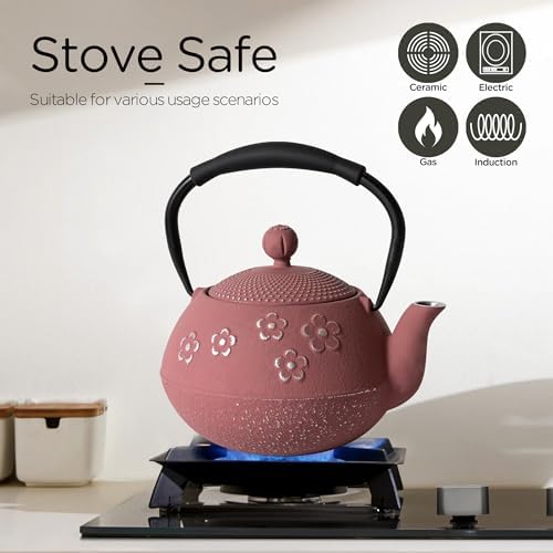 Cast Iron Teapot with Enameled Interior and Plum Blossom Design