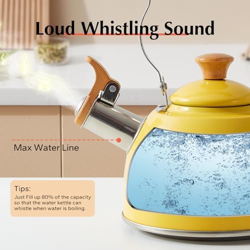 Perfect Ergonomic Design - Rockurwok Tea Kettle