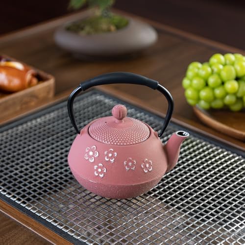 Cast Iron Teapot with Enameled Interior and Plum Blossom Design