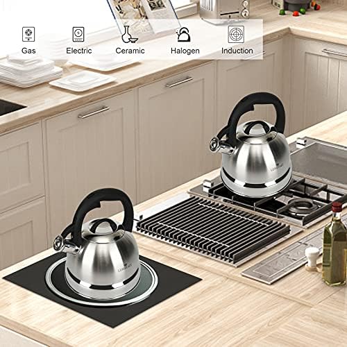 Ergonomic Whistling 25 qt Stainless Steel Tea Kettle