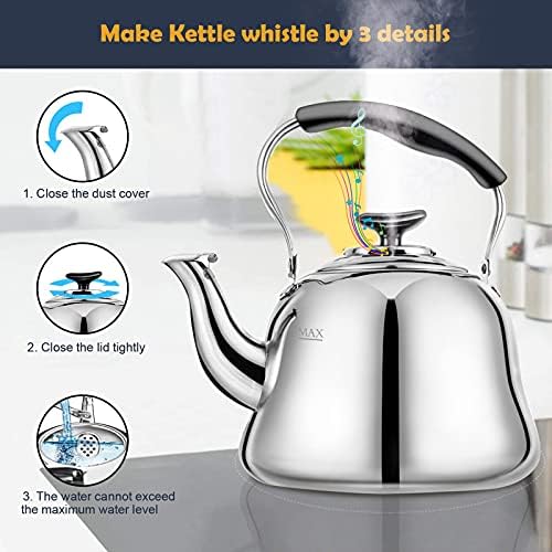 Stainless Steel Tea Kettle