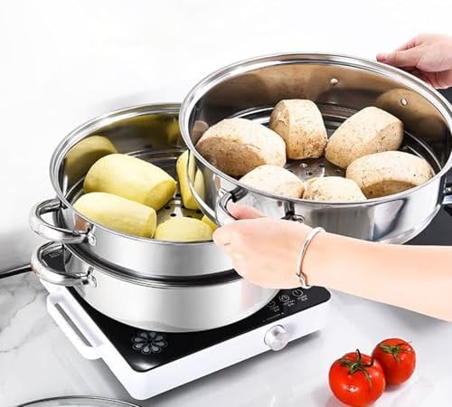 AIZYR Double-Layer Steam Pot with Lid for Cooking Stew Pasta Perfect