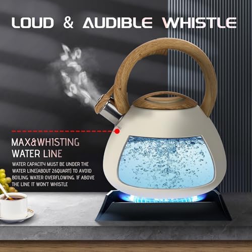 Stainless Steel 26 Quart Tea Kettle with Whistle