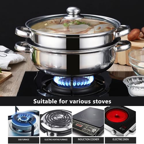 AIZYR Double-Layer Steam Pot with Lid for Cooking Stew Pasta Perfect