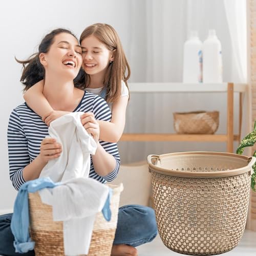 Portable Storage Basket for Laundries