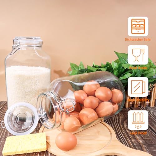 Versatile Glass Jar for Drying Preserving