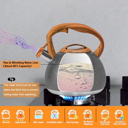 Whistling Tea Kettle