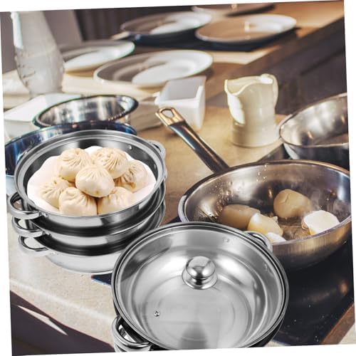 Versatile Stock Pot with Steamer Basket for Cooking Pasta More