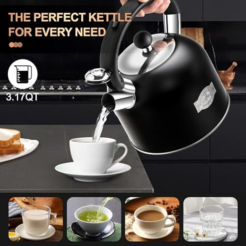 SUSTEAS Ergonomic 188 Stainless Steel Coffee Pot