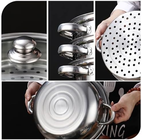 AIZYR Double-Layer Steam Pot with Lid for Cooking Stew Pasta Perfect