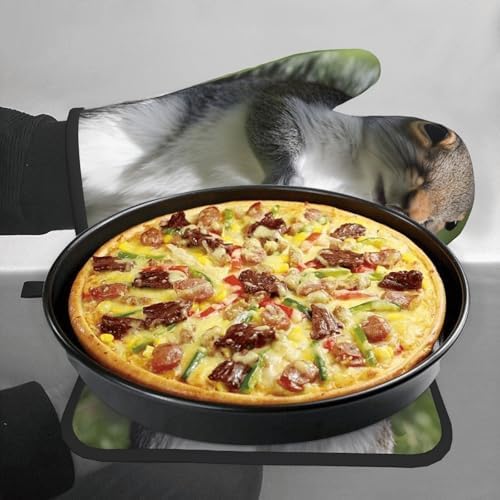 Indoor Red Squirrel Oven Mitts Pot Holders Set