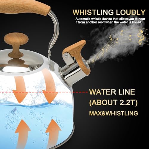 Fstone-Proof 22L Whistling Kettle with EHX