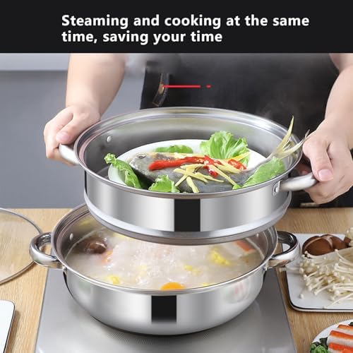 AIZYR Double-Layer Steam Pot with Lid for Cooking Stew Pasta Perfect