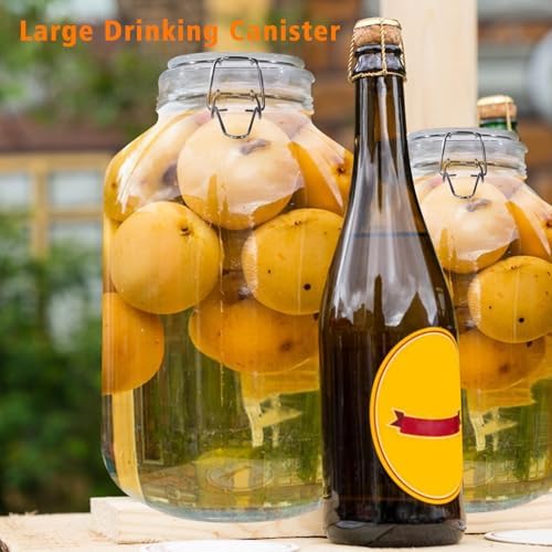 Versatile Glass Jar for Drying Preserving