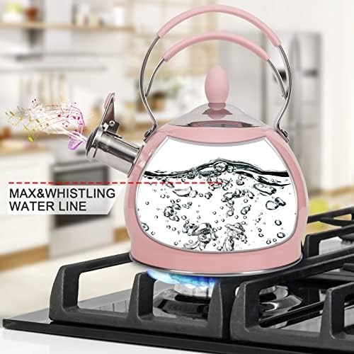 Whistling Stainless Steel Tea Pot 26 Quart Boil FastInduction Compatible