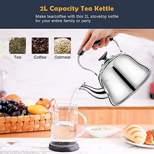 Stainless Steel Tea Kettle