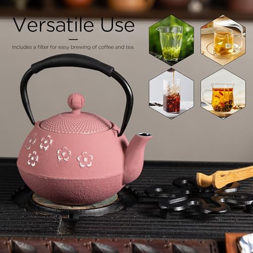 Cast Iron Teapot with Enameled Interior and Plum Blossom Design