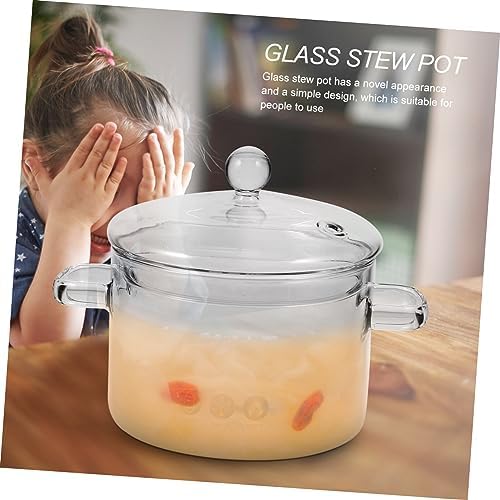 STOBAZA High-Borosilicate Glass Stew Pot with Lid
