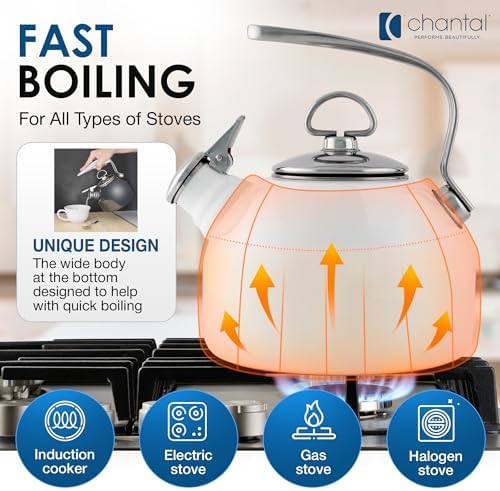 Chantal Classic Teakettle Pure Heat Ergonomic Design 18 qt