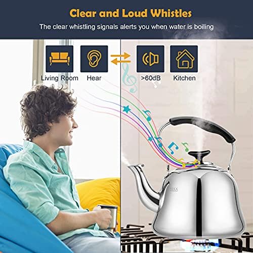 Stainless Steel Tea Kettle