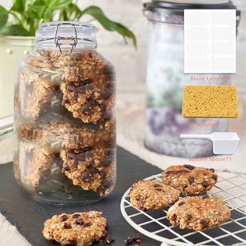 Versatile Glass Jar for Drying Preserving